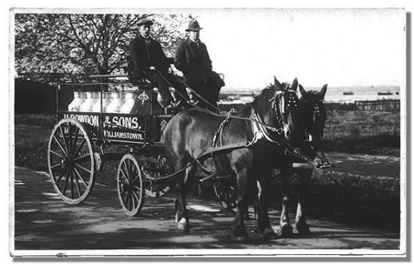 Milk Cart