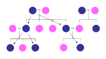 Y chromosome paths